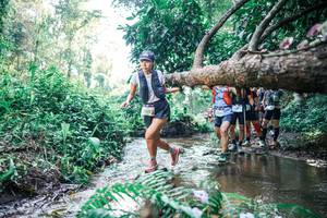 BIB: 
                            <button type="button" onclick="openModal(25448647)" class="btn btn-primary btn-sm float-right btn-popup" data-toggle="modal" data-target=".modal-high-quality">
                        <i class="fas fa-shopping-cart"></i> Add to Cart
                    </button>
                                            <button type="button" onclick="isThisMe(25448647, true)" class="btn btn-success btn-sm float-right btn-popup btn-isme hidden" data-toggle="tooltip" data-placement="bottom" title="นี่คือรูปของคุณใช่ไหม คลิกที่นี่เพื่อเอาเข้าอัลบั้ม">
                        <i class="fas fa-plus"></i> Add to album
                    </button>
                    <button type="button" onclick="isThisMe(25448647, false)" class="btn btn-warning btn-sm float-right btn-popup btn-isnotme hidden">
                        <i class="fas fa-ban"></i> Remove from album
                    </button>